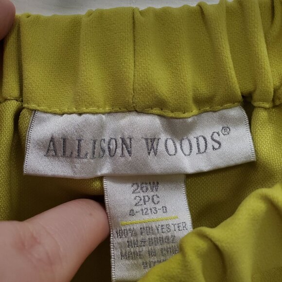 Allison Woods Woman's Vintage Chartreuse Elastic Pull On A-Line Skirt Plus 26W - Picture 2 of 4